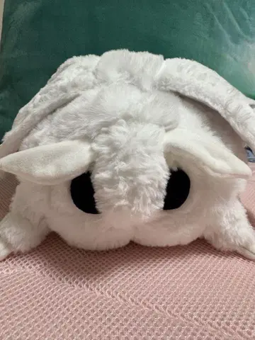 모스가 있는 일상 인형