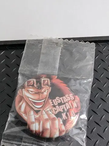 극히 희귀한 초기 원피스 키드 캔 배지