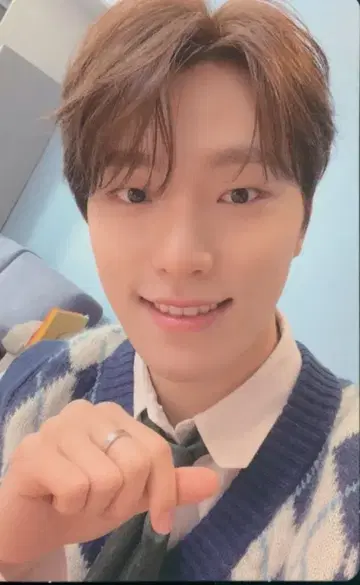 SEVENTEEN FML DINO 트레이딩 카드