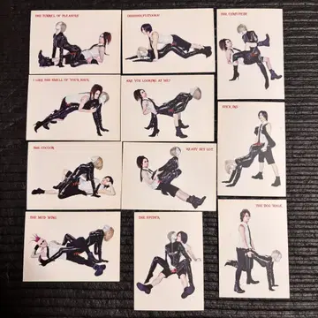 GACKT YFC 마스터 포지션 카드 11장 세트