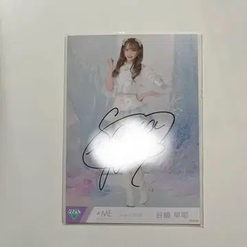 노이미 타니자키 사야 생사진