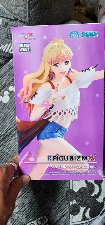 맥로스 프론티어 피규어