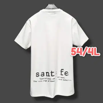 산타페 santafe 추가 품번 티셔츠 거울면 프린트 54 4L w3