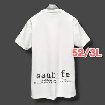 산타페 santafe 추가 품번 티셔츠 미러 면 프린트 53 3L as