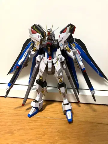 메탈 로봇혼 스트라이크 프리덤 이식