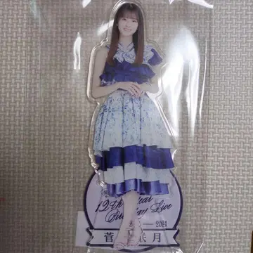 스가하라 사키츠 12주년 생일 기념 대형 아크릴 스탠드