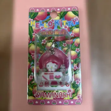 야마나시 한정 키티 마스코트
