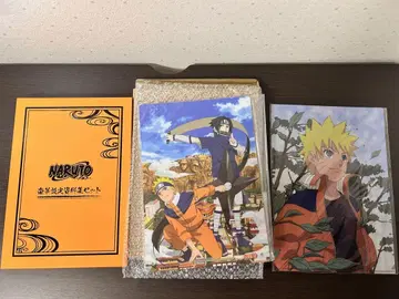 NARUTO 나루토 호화 설정 자료집