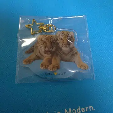 삿포로 동물원 코코아 타이거 아크릴 키링