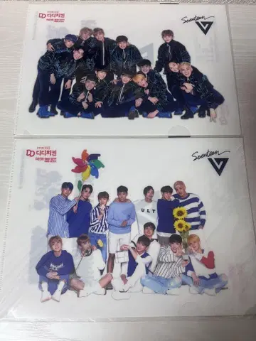 SEVENTEEN DD치킨 클리어 파일