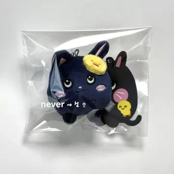 RIIZE 라이즈 원빈 미니 인형 키링 봉제 인형 1