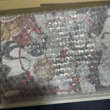 문스트 문호 스트레이 독스 벽걸이 캔버스 리본