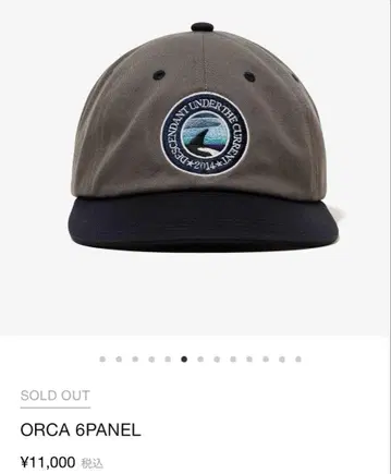 2025년 1차 완판 상품 ORCA 6패널