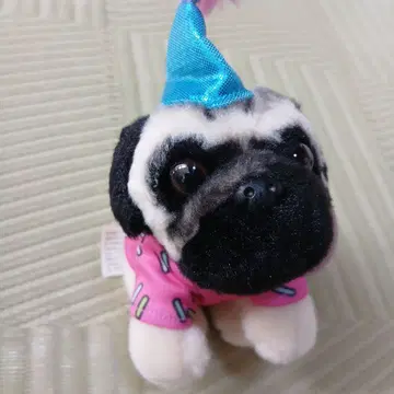 다그 더 파그 생일 파그 인형 마스코트