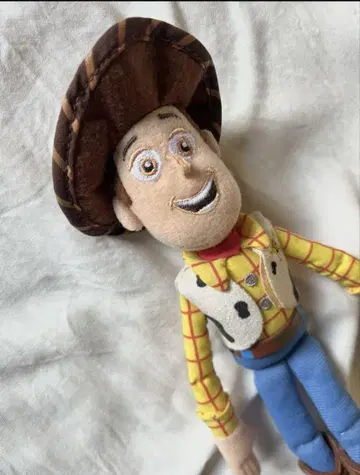 Disney 디즈니 리조트 토이스토리 우디 인형 배지