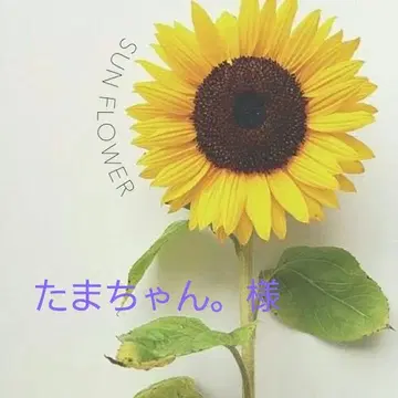 [ .님 ] BTS 메모장 합계