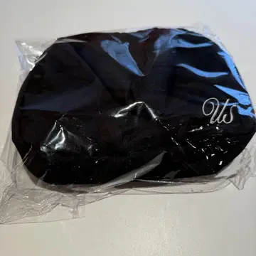채종협 토트백