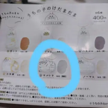 우리 아이 털뭉치 고등어 태비