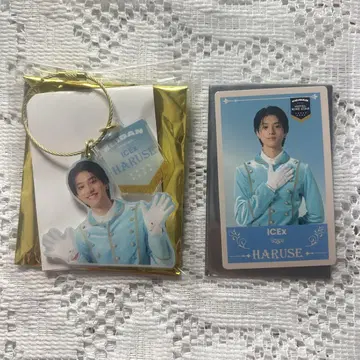 EBiDAN 2025 ICEx 아키키 트레이딩 카드 아쿠네 온세