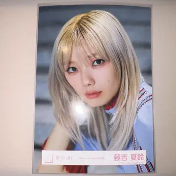사쿠라사카 46 후지요시 카린 생사진