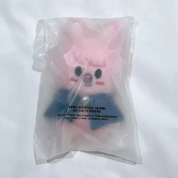 STRAYKIDS MAGICSCHOOL 10cm 인형 창빈