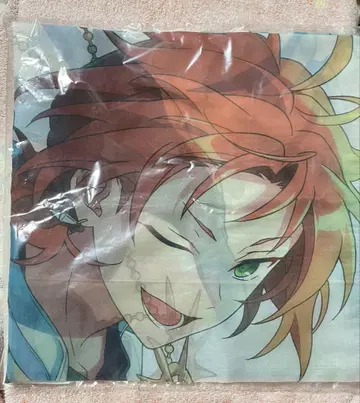 안스타 시어 스톨 월영 레오