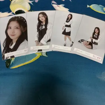 사쿠라자카46 타니구치 아이리 클래식 코디 4종 컴프 브로마이드