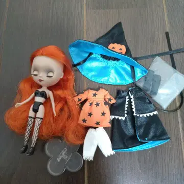 쁘띠 브라이스 오렌지 맨 치킨