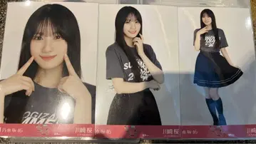 노기산 46 가와사키 사쿠라 후쿠오카 라이브 T 세트