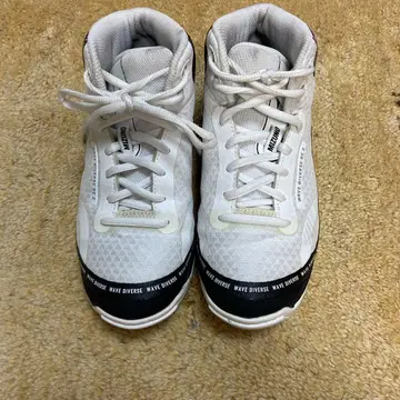 미즈노 웨이브 다이버즈