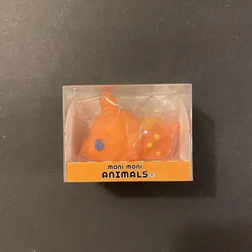 모니마루즈 Rody 오렌지