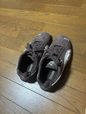 PUMA 스니커즈 스피드캣 25.5 브라운