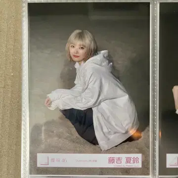 사쿠라사카 46 후지요시 카린 생사진 Addiction 앉은 자세
