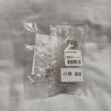 사쿠라사카 46 코바야시 유이