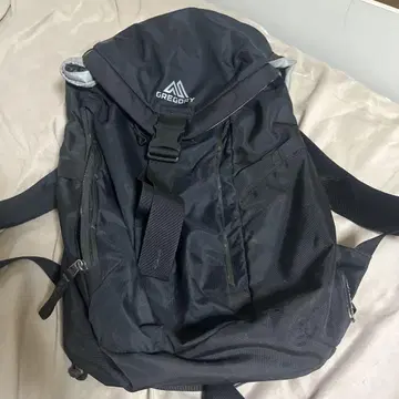 그레고리 스케치 28