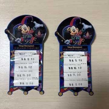TDL 4시즌 패스포트 티켓 홀더 레어 희귀