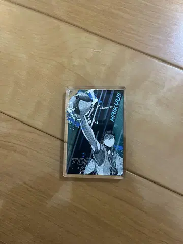 오ikawa Tetsu Domino