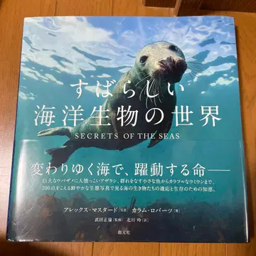 훌륭한 해양 생물의 세계