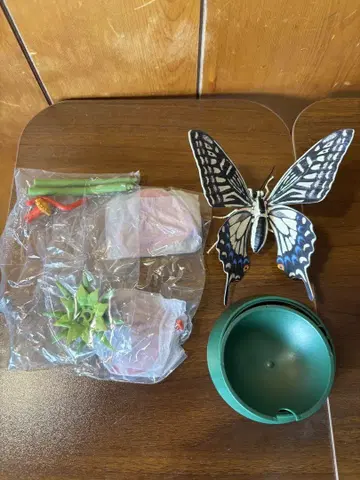 생물 대도감 호랑나비 전종 컴플리트