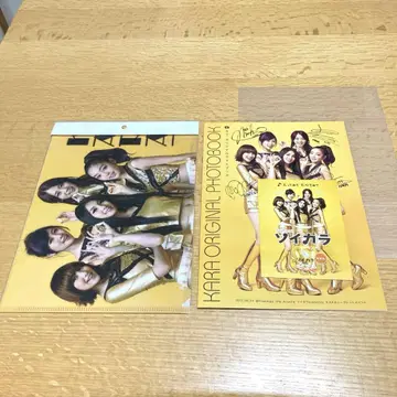 카라 오리지널 포토북 클리어 파일