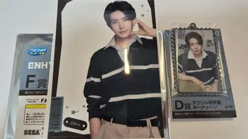 [ENHYPEN] SEGA 럭키 쿠지 D상 F상 히승