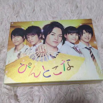 키스마이 타마모리 유타 '핀토코나' DVD -BOX 8장 세트