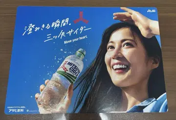 생다 에리카 미츠야 사이다 패널