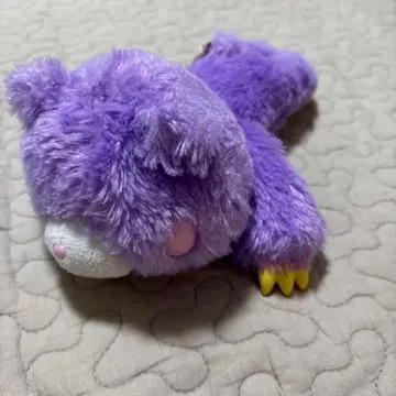 글루미 봉제 인형 샤베티 탈 글루미 택 포함