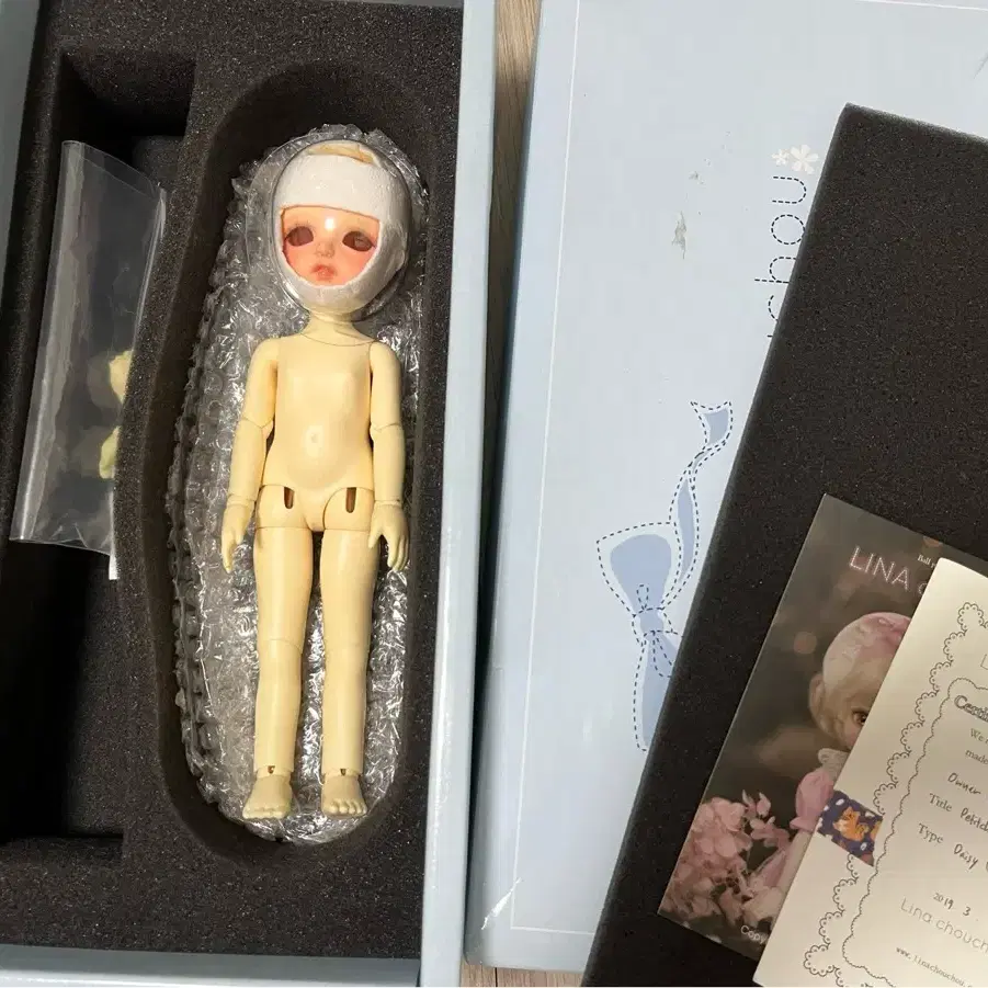 Quick sale: Lina Chouchou ball-jointed doll USD Daisy #리나슈슈usd