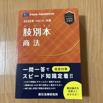 지별본 상법 2025년 대책