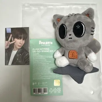 txt 풀바투 다고냐 키링