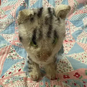 독일 슈타이프 슈타이프 고양이 인형