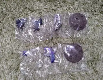 몬스터 헌터 포획대 진오우거 아종 타마미츠네 레어종