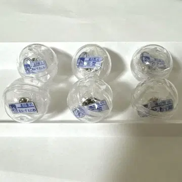 핀즈 홋카이도 도로 휴게소 시마에나가 노멀 6점 세트